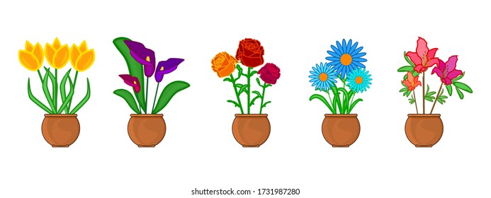 Die Blume im Topf auf weißem Hintergrund isoliert setzen. Innen- und Außenlandschaft Garten Topfpflanzen. Sammlung gegossener Pflanzen. Blume für Blumenladen, Etikett, Banner, Verpackungsdesign. Lagervektor