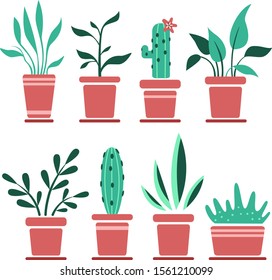 The set of flower pots for design, interior.