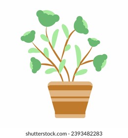 set of Flower pots. flower pot plants collection. flowers in pots illustration. plants in pots illustration. home flower pots with flowers.