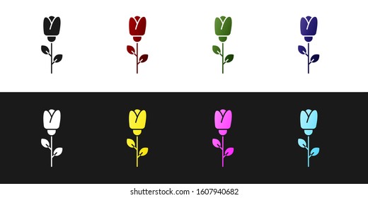 Set Flower rose icon isolated on black and white background.  Vector Illustration