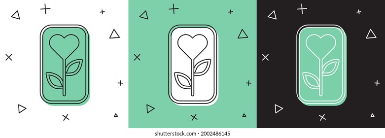 Set Flower rose icon isolated on white and green, black background.  Vector