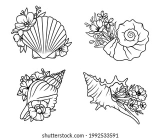 Set of flower seashells. Сollection of shells with flower wreath. Beach. Summer shell. Vector illustration of design for print. Drawing for children.