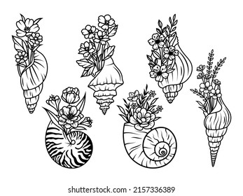 Set of flower seashells. Сollection of shells with flower wreath. Beach. Summer shell. Vector illustration of design for print. Drawing for children.