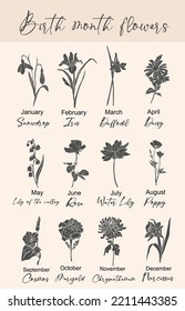 Set of flower silhouette vector illustrations. Snowdrop, daffodil, daisy, rose, poppy, chrysanthemum, cosmos hand drawn monochrome sketch. Birth month flowers for jewelry, tattoo, logo, wall arts.