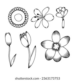 Set Blumenskizze-Illustration 