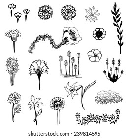 set of flower sketch vector,free hand drawing doodle sketch on white background