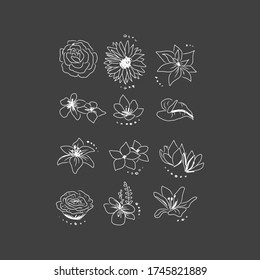 Set of flower sketches. Vector illustration with hand drawn elements.