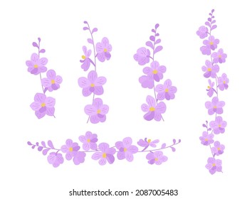 Set with flower sprigs on a white background. Delicate orchid flowers (Vascostylis) for your elegant design of cards, greetings, invitations and the like. Flat cartoon vector illustration.