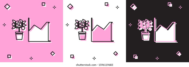 Set Flower statistics icon isolated on pink and white, black background.  Vector Illustration