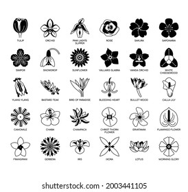 Set of Flower thin line and pixel perfect icons for any web and app project. 