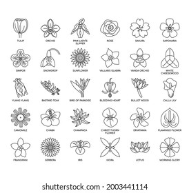 Set of Flower thin line and pixel perfect icons for any web and app project. 