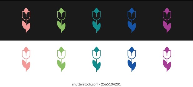 Set Flower tulip icon isolated on black and white background. 8 March. International Happy Women Day.  Vector