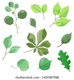 Set of flower twigs and leaves. Vector isolates on a white background. In watercolor style
