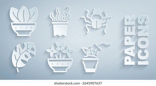 Set Flor em vaso, inseto besouro, folhas tropicais, planta pulverização, Pote tropical exótico e ícone da planta. Vetor