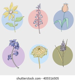 Set of flower vector Icons