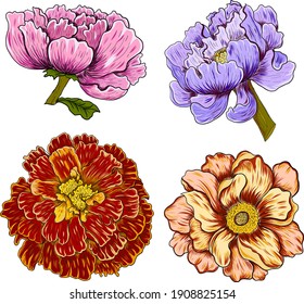Set of flower vector for painting on background.Peony and marigold for printing on curtain.Traditional  Asian floral illustration for embroidery style.Rose flower.Beautiful line art for summer.