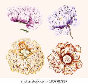 Set of flower vector for painting on background.Peony and marigold for printing on curtain.Traditional  Asian floral illustration for embroidery style.Rose flower.Beautiful line art for summer.