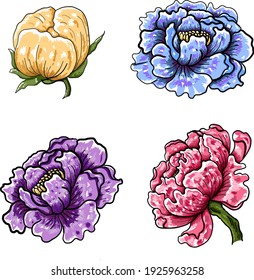 Set of flower vector for painting on background.Peony for printing on curtain.Traditional  Asian floral illustration for embroidery style.Rose flower.Beautiful line art for summer.