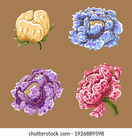Set of flower vector for painting on background.Peony for printing on curtain.Traditional  Asian floral illustration for embroidery style.Rose flower.Beautiful line art for summer.