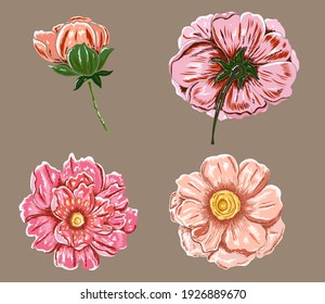 Conjunto de vectores de flores para pintar sobre el fondo.Peonía para imprimir sobre la cortina.Ilustración floral asiática tradicional para el estilo bordado.Flor rosa.Bonito arte lineal para el verano.