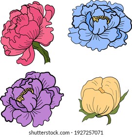Set of flower vector for painting on background.Peony for printing on curtain.Traditional  Asian floral illustration for embroidery style.Rose flower.Beautiful line art for summer.