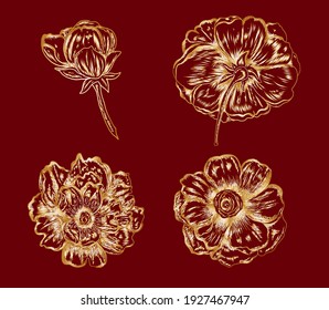 Conjunto de vectores de flores para pintar sobre el fondo.Peonía para imprimir sobre la cortina.Ilustración floral asiática tradicional para el estilo bordado.Flor rosa.Bonito arte lineal para el verano.