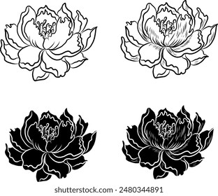 Set of flower vector for painting on background.Peony for printing on curtain.Traditional  Asian floral illustration for embroidery style.Rose flower.Beautiful line art for summer.Lotus vector.