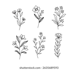 Set of flower vector. Wildflower line art bouquets set. Hand drawn flower, wild plant, botanical vector illustration