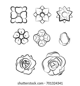 Set of flower in vintage retro style. Design elements for old school tattoo, background hipster cover, poster. Cartoon vector illustration.