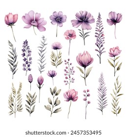 Set of Flower Watercolor Clipart Perfect for Wedding Card Design Element	