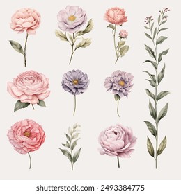 Set of Flower Watercolor Clipart Perfect for Wedding Card Design Element