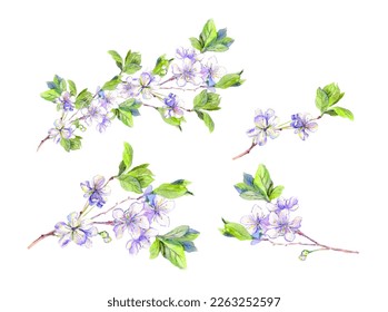 Set of flowering branches with white spring flowers. Water paint cherry blossom, sakura twigs collection. Floral watercolor vector. Beautiful botanical design 