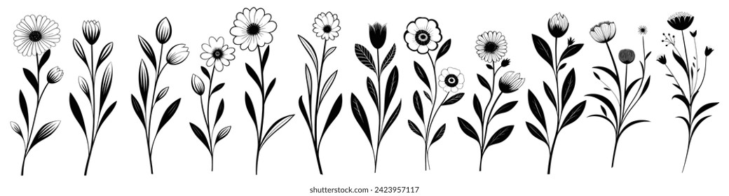 Set of flowering herbs isolated on white background, vector design