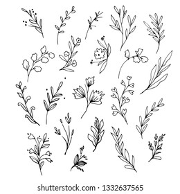 Set of flowering plants and tree branches with buds, leaves and berries. Hand drawn botanical illustration. Black and white vector image.