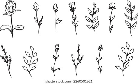 Set of flowering plants and tree branches with buds, leaves and berries. Hand drawn botanical illustration. Black and white vector image.
