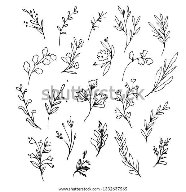 花の咲く植物と木の枝で 芽 葉 ベリーが付く 手描きの植物イラスト 白黒のベクター画像 のベクター画像素材 ロイヤリティフリー