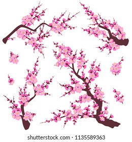 Set of flowering tree branches and shoots with pink flowers isolated on white background.  Plum blossom is a symbol for spring.  Floral decoration for Chinese New Year. Vector flat illustration.