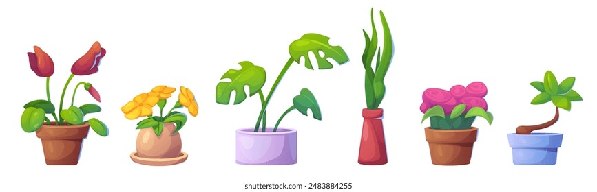 Conjunto de macetas aisladas sobre fondo blanco. Ilustración de dibujos animados de Vector de plantas de jardín domésticas con hojas verdes y flores de color, floristería o Elementos de diseño interiores caseros, regalos de cumpleaños