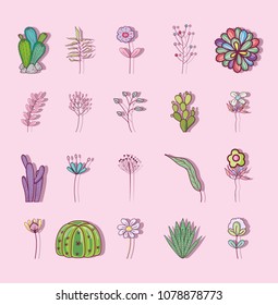Set of flowers