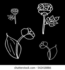 Set of flowers.