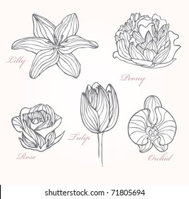 Set of flowers