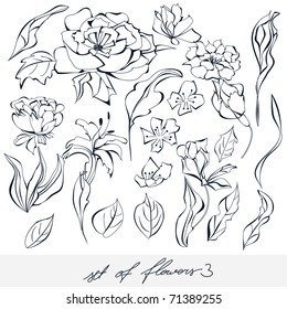 Flores 3