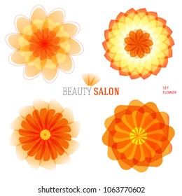 Set flowers abstract vector icons design template. Wellness & SPA creative idea. concept symbol icon for boutique, beauty salon, cosmetician, relax massage, hotel & resort. Vector illustration EPS 10