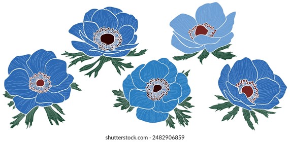 Set of flowers. Anemone hand-drawn style vector illustration.