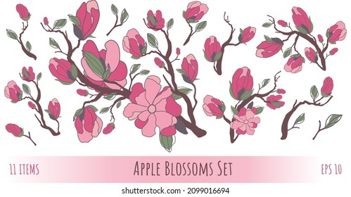 Flores de un manzano en colores rosados. Flores vectoriales en un fondo blanco. Elementos decorativos.