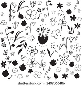 A set of flowers in black and white