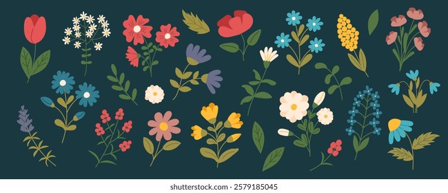 Set of flowers and botanical elements on dark background. Concept of floral decoration, nature, spring, holiday, Easter and summer beauty. Vector hand drawn cliparts. 