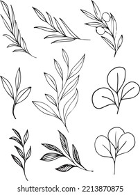 set of flowers. Set botanical hand drawn vector element. Leaf line art