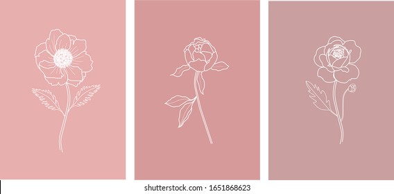 Set Flowers Botanical Nature Art Line Style Doodle Hand Drawing On Pink Background. Cards Wallpaper For International Women’s Day, Beauty Salon, Organic Shop Showroom 