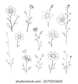 Set of flowers. Botany illustration. Line art of different flowers. Vector collection outline flowers and leaves. For invitations, wall art, minimalistic designs for modern templates